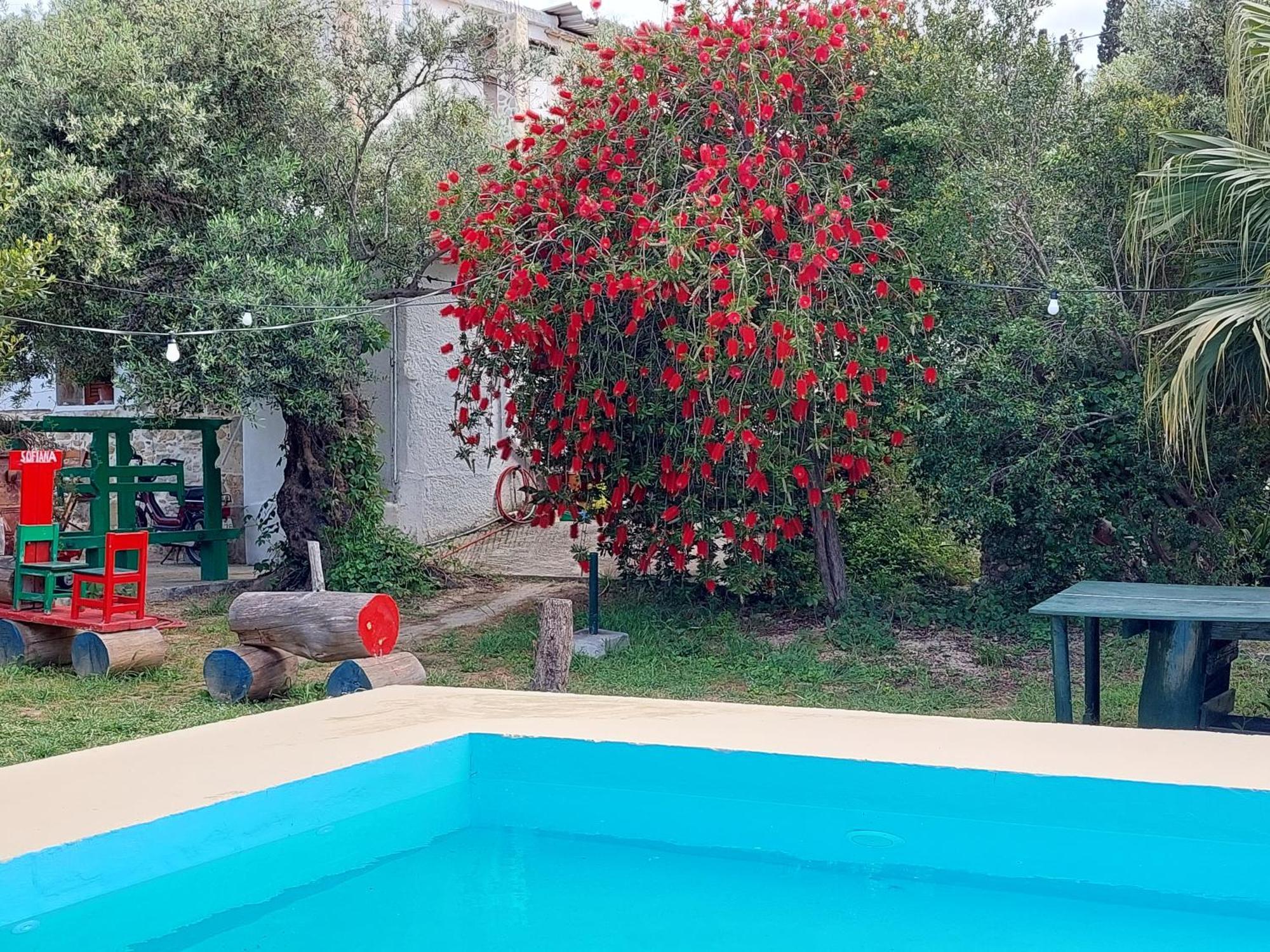 דירות Dhrapaniás Sofiana'S Garden Retreat With Private Pool חדר תמונה