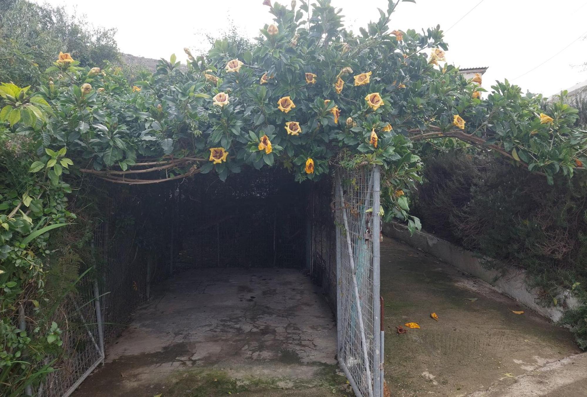 דירות Dhrapaniás Sofiana'S Garden Retreat With Private Pool מראה חיצוני תמונה